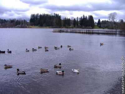 Blackman Lake