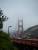 Le Golden Gate Bridge dans le brouillard