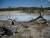 Norris Geyser Basin